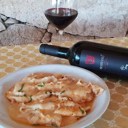 Farm stay Vermentino