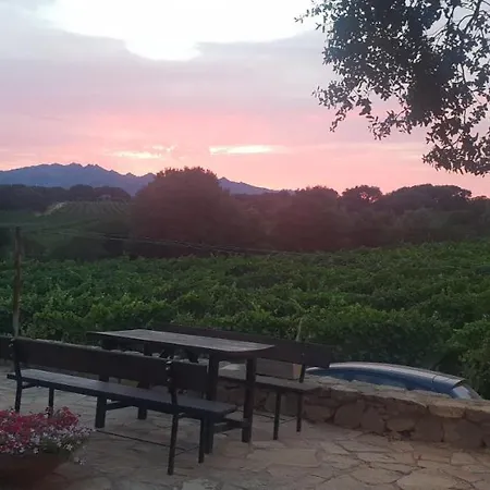 Farm stay Vermentino