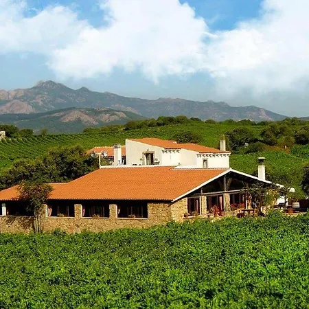 Vermentino *