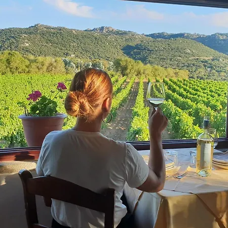 Vermentino