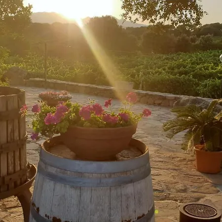 Vermentino Lantgård *