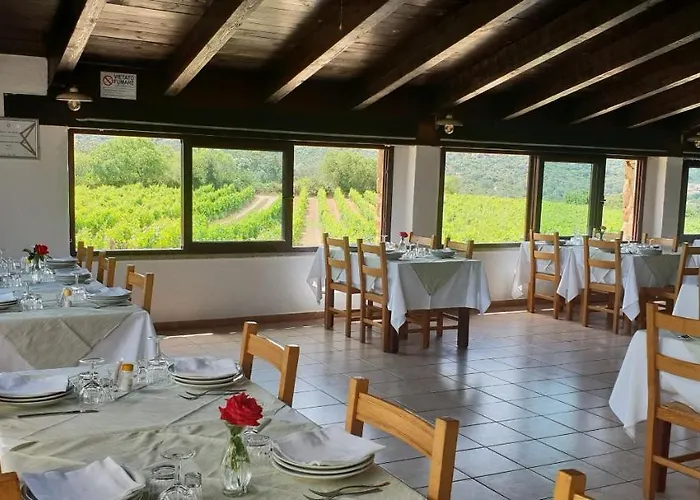 Gospodarstwo agroturystyczne Vermentino