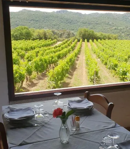 Vermentino Gospodarstwo agroturystyczne Monti