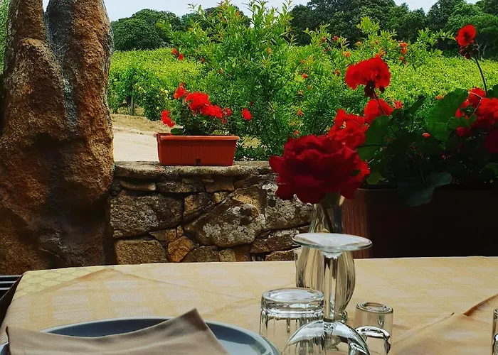 Vermentino Gospodarstwo agroturystyczne *