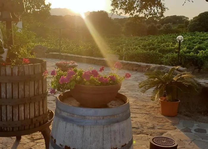 Vermentino Gospodarstwo agroturystyczne *