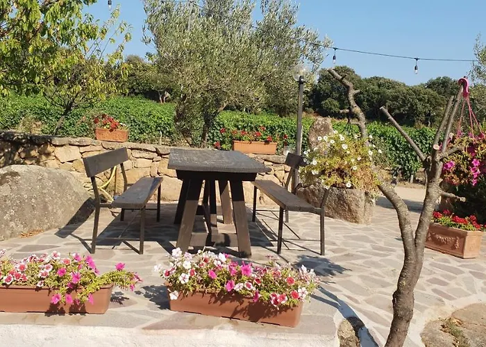 Vermentino Gospodarstwo agroturystyczne *